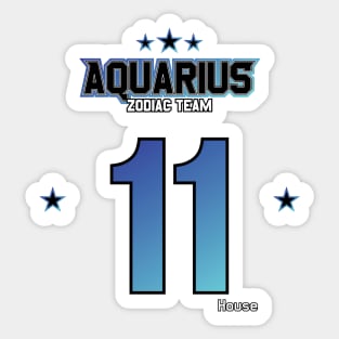 Zodiac Majesty Sport Aquarius Team V1 Sticker